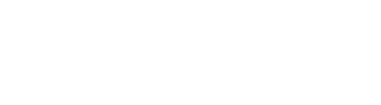 VIP Motor Company Logo